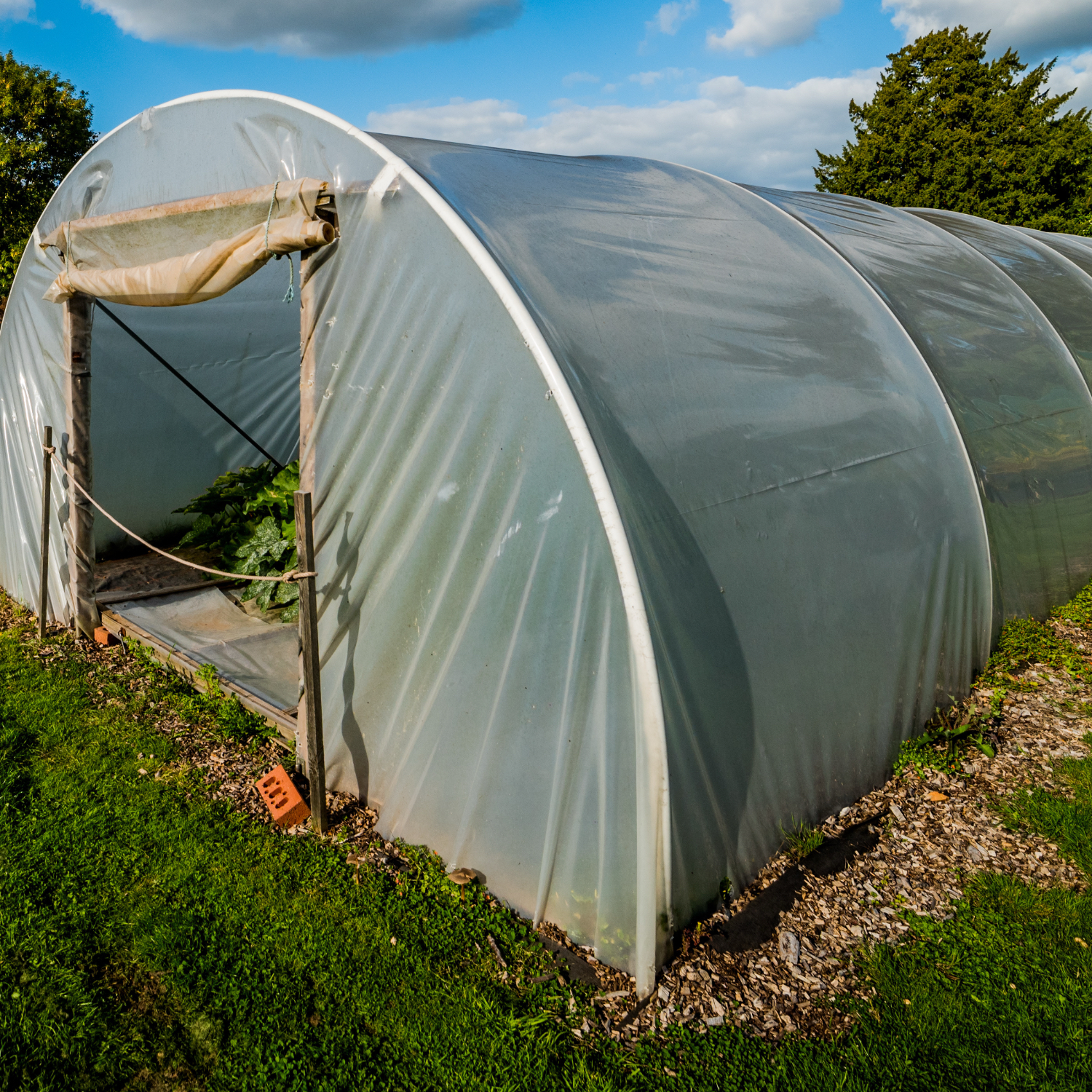 High Tunnels at Hoffer Farm